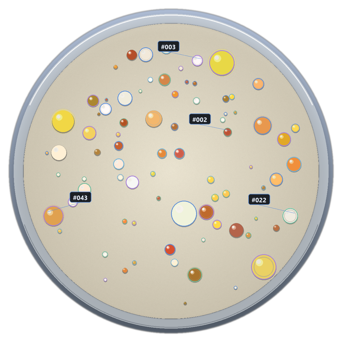 Petri dish with colored colony detections